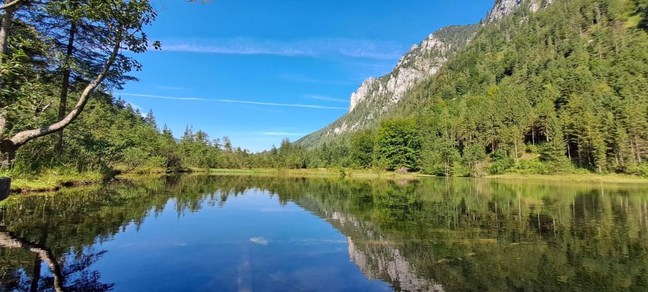 Ferienwohnung Laerche 2 - Chiemgaukarte Inklusive- Inzell Exterior foto