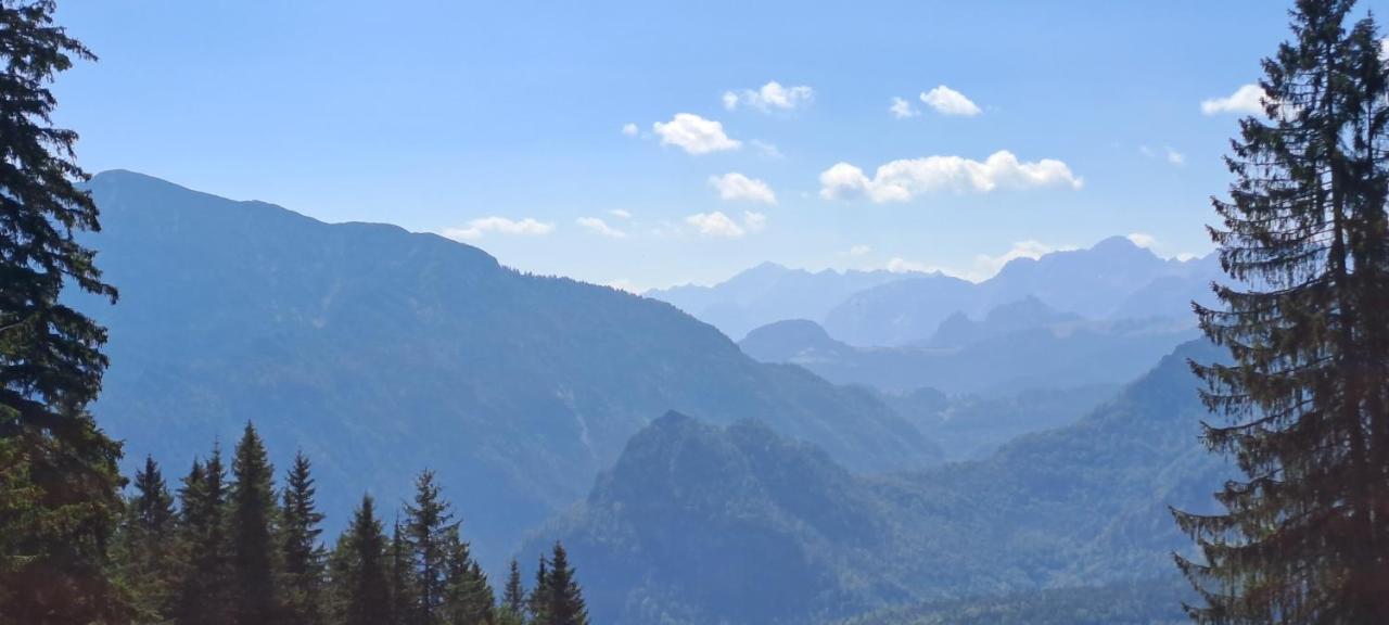 Ferienwohnung Laerche 2 - Chiemgaukarte Inklusive- Inzell Exterior foto