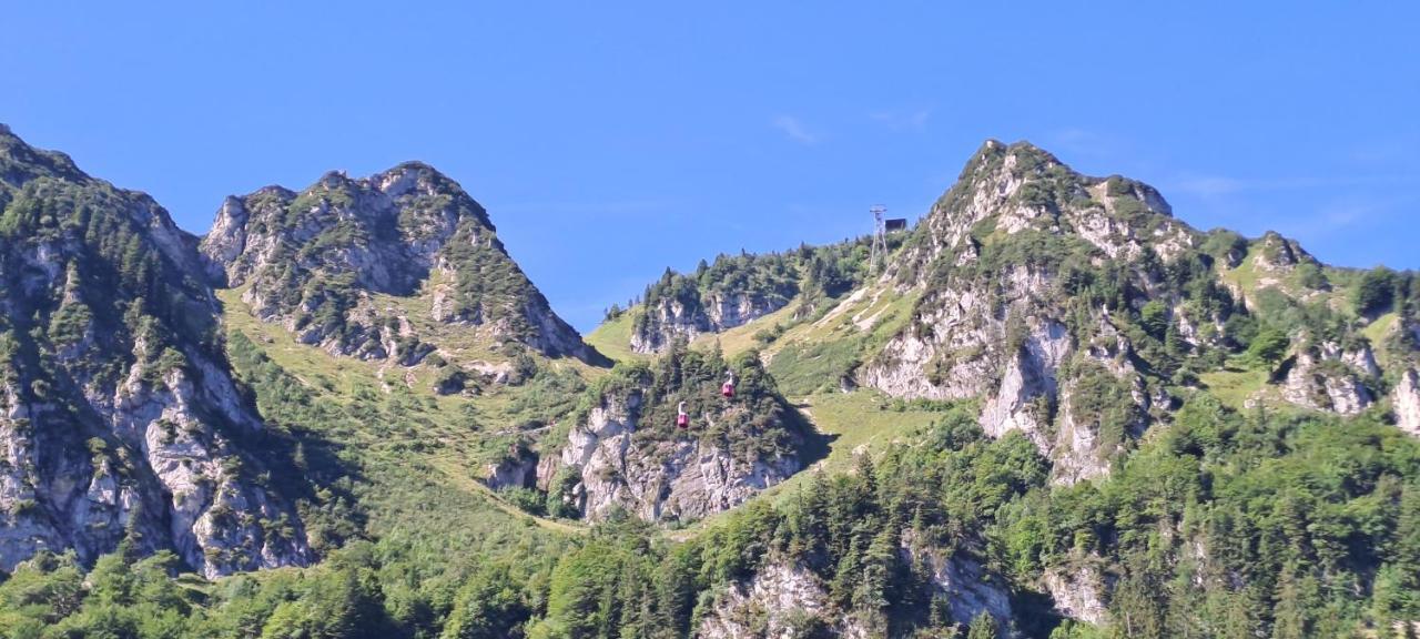 Ferienwohnung Laerche 2 - Chiemgaukarte Inklusive- Inzell Exterior foto